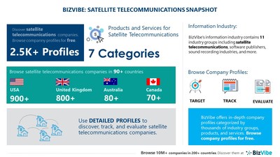 Snapshot of BizVibe's satellite telecommunications industry group and product categories.