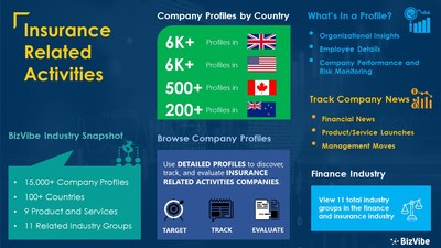 Snapshot of BizVibe's insurance related activities industry group and product categories.