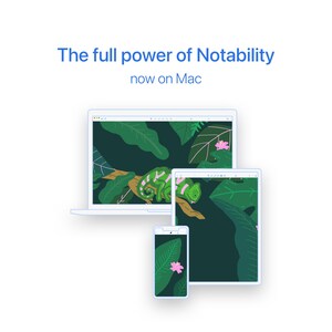 Notability's Latest Update Brings Powerful iPad Experience to Mac