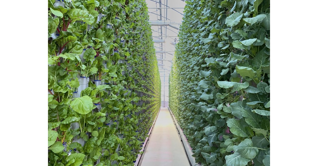 Eden Green Technology Breaks Ground on New Texas Greenhouse, Continues