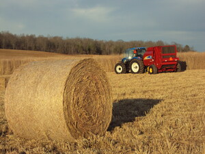 Genera program helps Tennessee farmers offset switchgrass start-up costs