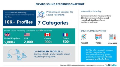 Snapshot of BizVibe's sound recording industry group and product categories.