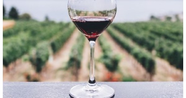 Atrium Wine Brokers to Represent St. Stephen Organic Vineyards in California