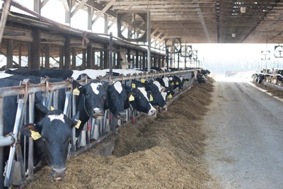 Bel Brands USA partners with Land O’Lakes, Inc. to pilot sustainable agriculture program. The information obtained on sustainable agriculture practices will help shape the dairy industry’s future.