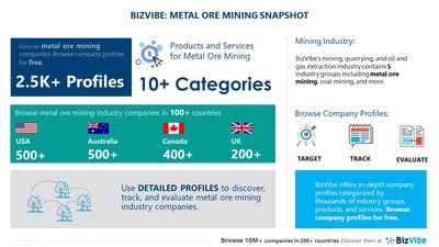 Snapshot of BizVibe's metal ore mining industry group and product categories.