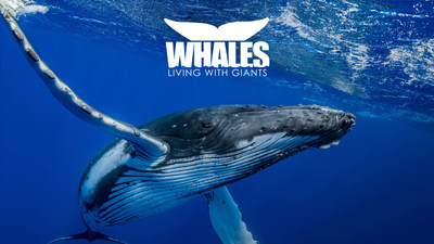 Clearwater Marine Aquarium is set to open a new exhibit "Whales: Living with Giants" on March 21.
