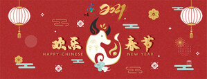 Les « charmes du Jiangsu » ont ravi les participants étrangers aux célébrations en ligne du Nouvel An chinois 2021.