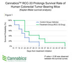Cannabics Pharmaceuticals' Drug Candidate RCC-33 Prolongs Survival Rate in Mice Inoculated with Human Colorectal Cancer Cells