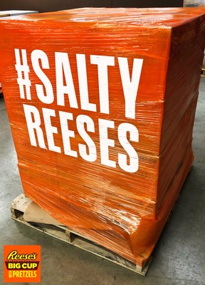 Get #SaltyReeses