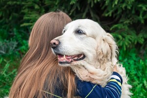 Morris Animal Foundation Partners with the Purina Institute to Advance Knowledge of Canine Cognitive Dysfunction Syndrome