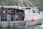 A Call to DFO's Observe, Record, Report Line Leads to Significant Fine for a Commercial Harvester
