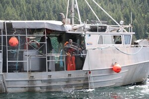 Un appel sur la ligne du MPO Observer, Enregistrer et Signaler a permis d'imposer une amende importante à un pêcheur commercial