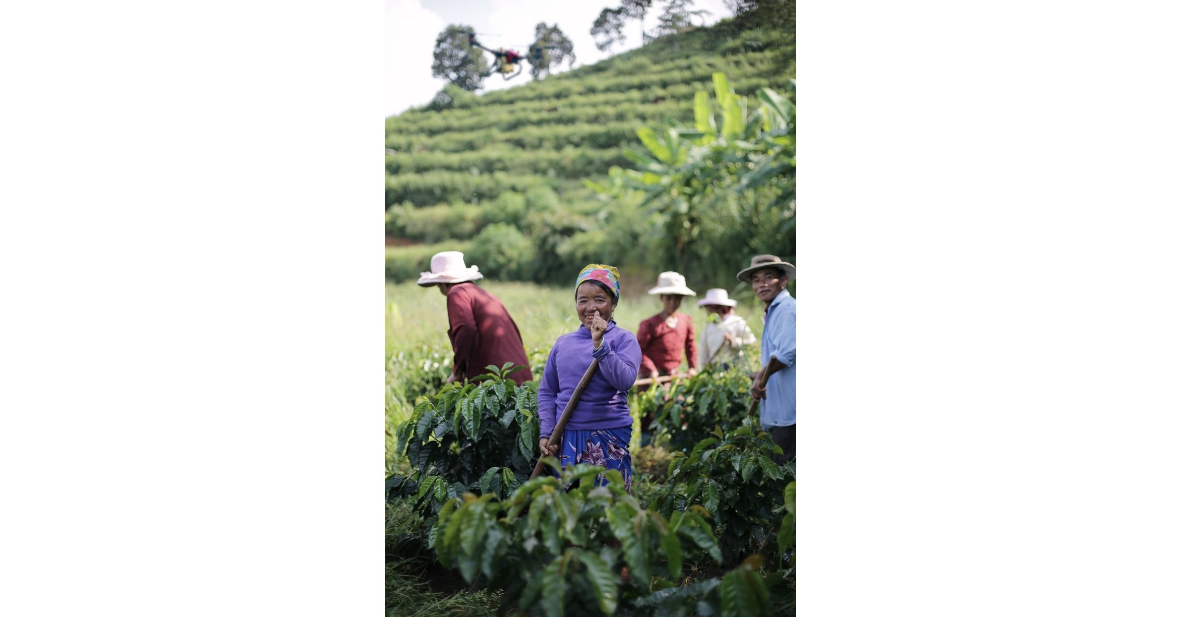 Isofol receives notice that Clinical Use Patent in Europe for Drug Candidate arfolitixorin will be approved