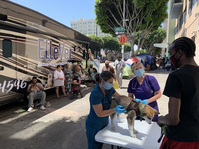 ElleVet Sciences announces "The ElleVet Project," a national nonprofit dedicated to providing free veterinary care, food, and supplies to pets of the homeless and street pets.