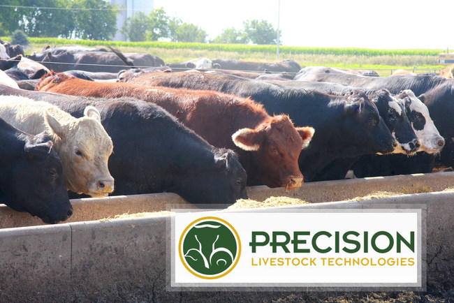Precision Livestock Technologies logo with cattle background