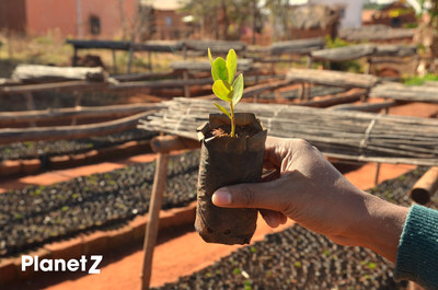 Zentiva Accelerates its Carbon-Neutral "Planetz" Program by Planting a Further 27,800 Trees in Madagascar and Romania