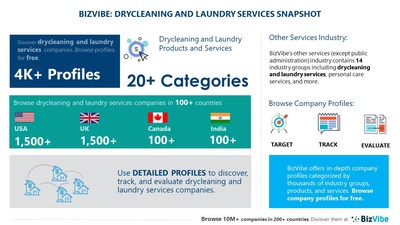 Snapshot of BizVibe's drycleaning and laundry services industry group and product categories.