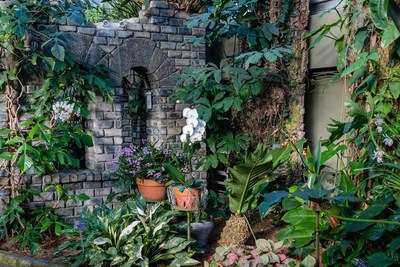 crdit: Jardin botanique (Lise Servant) (Groupe CNW/Espace pour la vie)