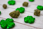 Akerna Flash Report: Stimulus checks landing on St. Patrick's Day prompt largest cannabis sales day of the year
