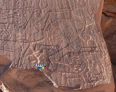 An AlUla rock art panel shows two dogs hunting an ibex, surrounded by cattle. The weathering patterns and superimpositions visible on this panel indicate a late Neolithic age for the engravings, within the date range of the burials at the recently excavated burial sites.