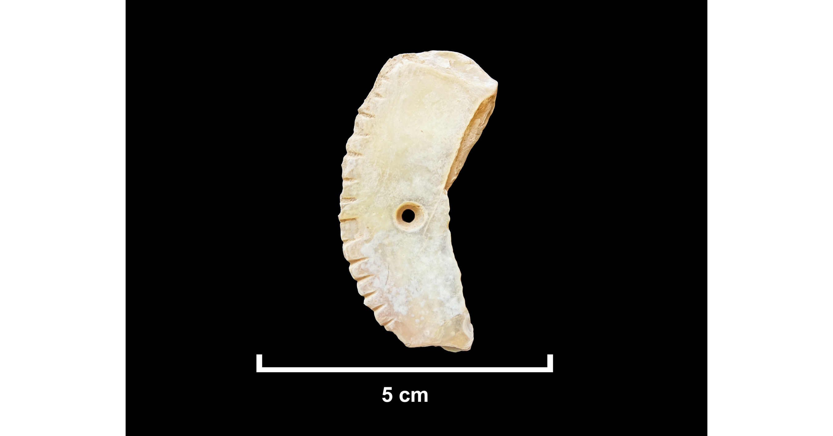 In AlUla, archaeologists uncover earliest evidence of a domesticated dog in Arabia In AlUla, archaeologists uncover earliest evidence of a domesticated dog in Arabia
