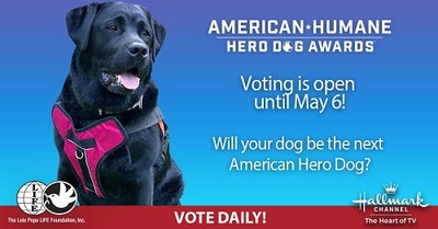 Who's a good dog?  It's time for YOU to decide as public voting opens for the 2021 American Humane Hero Dog Awards.