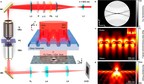 Microscope that Detects Individual Viruses Could Power Rapid Diagnostics