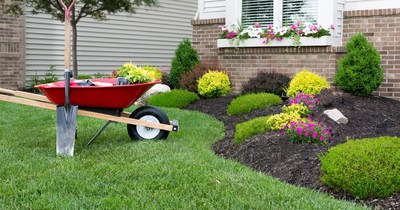 Power Equipment Direct has launched an Ultimate Lawn Care Guide that provides a virtual library of content on topics ranging from aerating to proper watering.