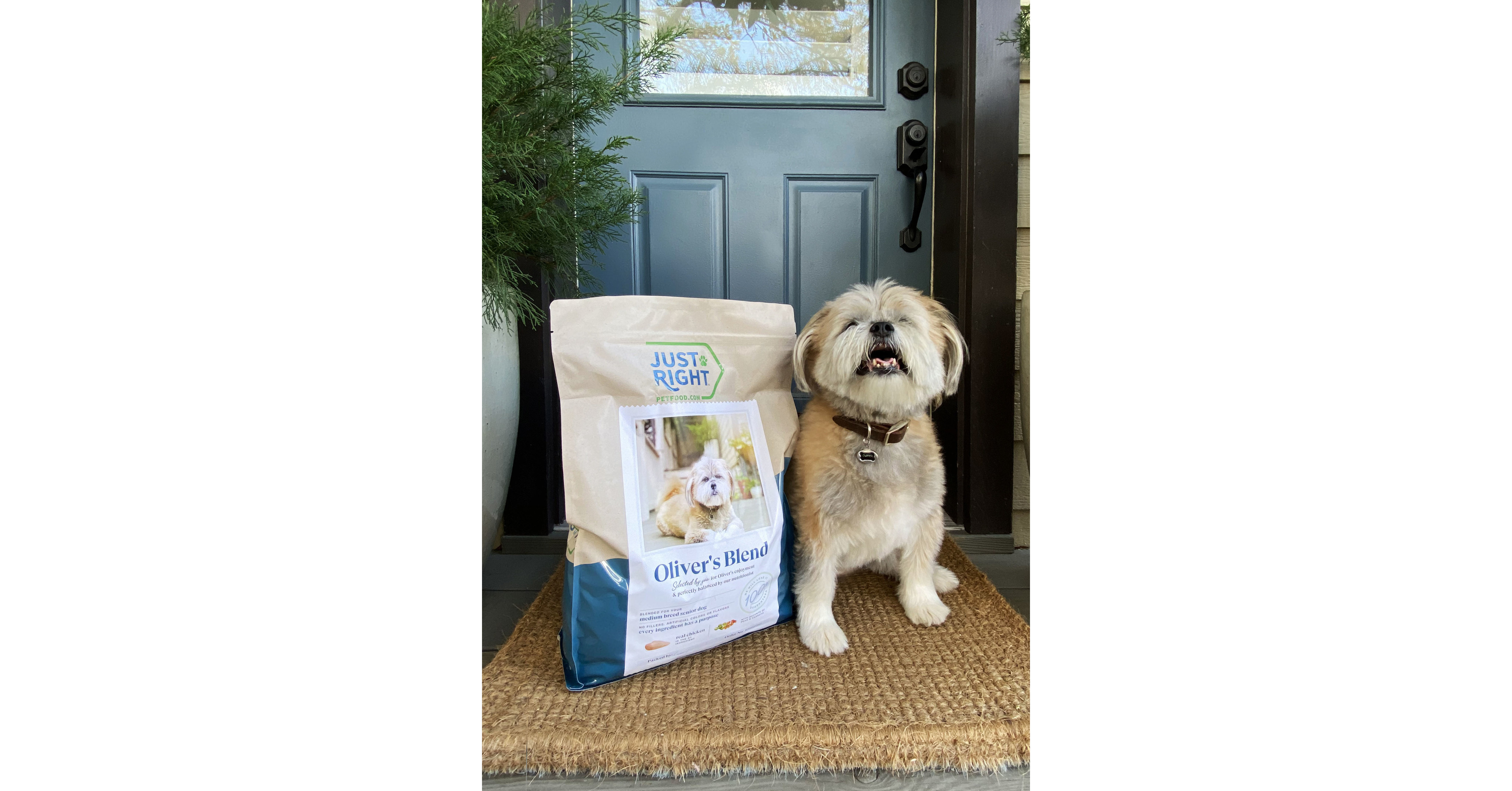 Just Right Pet Food Earns Good Housekeeping Seal
