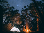 Campgrounds Report Advanced Bookings Up Over 50%