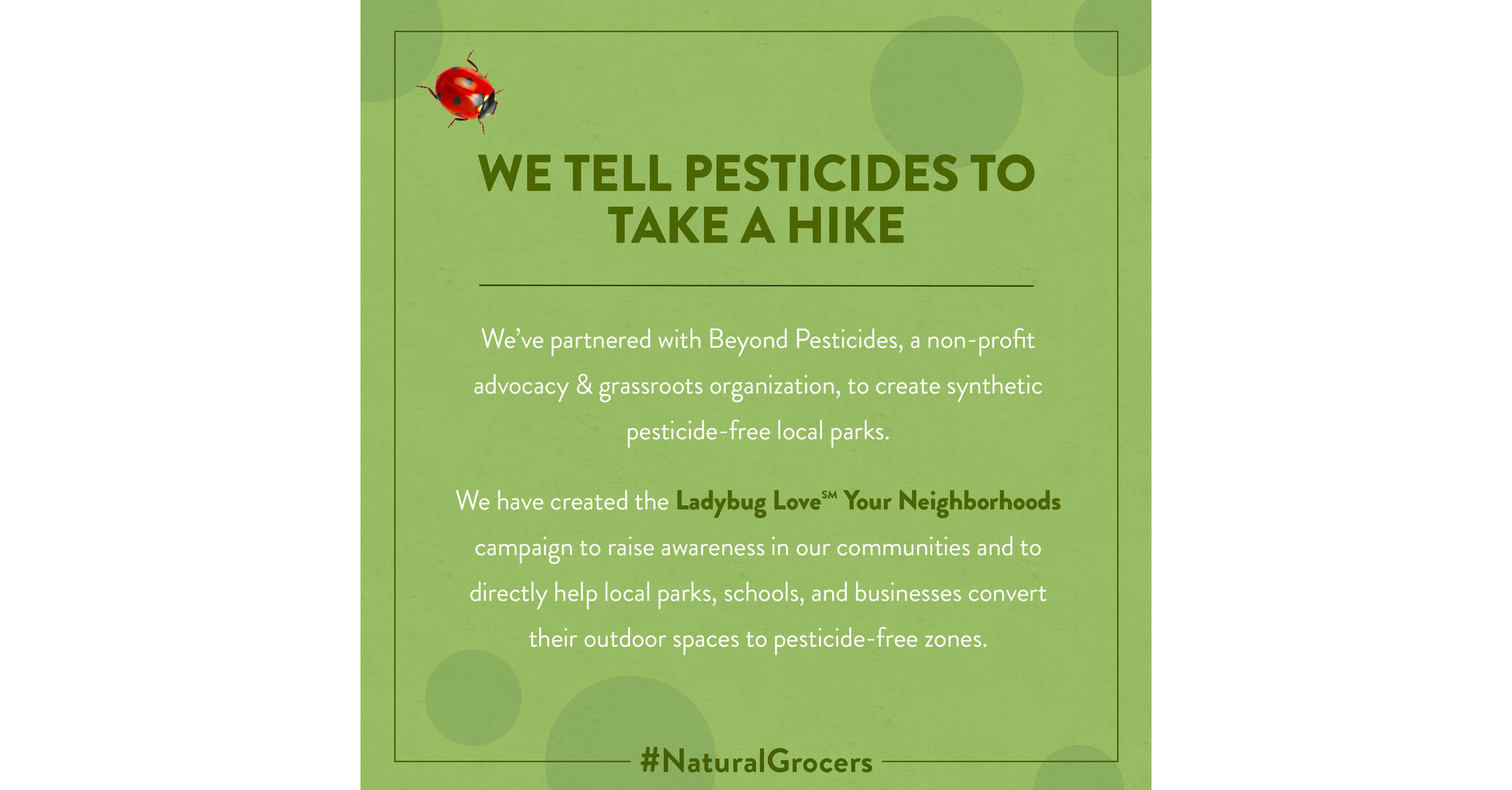 LoopChat Announces the Release of Campus Lounge, a Voice Chat Room Feature