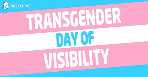 Transgender Day of Visibility Flag