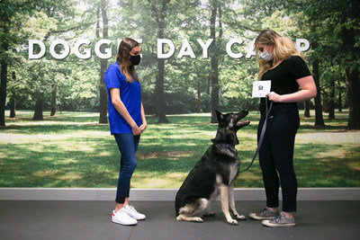 PetSmart’s new training course, Brain Games™, was developed by PetSmart’s internal team of training experts who developed researched-backed ways to help keep dogs mentally stimulated as a way to lessen hyperactivity and boredom.