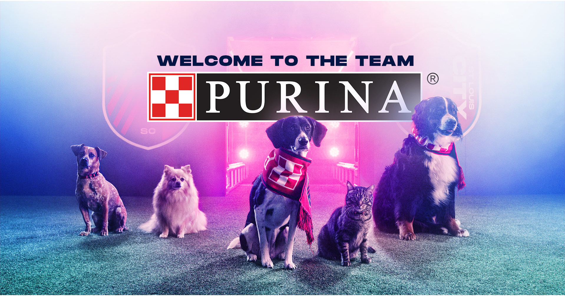 y - St Louis CITY SC on X: ICYMI: We just revealed that @Purina