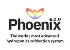 CannabCo announces breakthrough in cannabis production with Phoenix 2.0