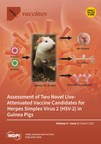 Study validates pre-clinical safety of novel live-attenuated HSV-2 vaccine candidates