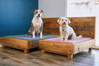 Avocado Green Debuts Made-in-Los-Angeles Sustainable Pet Bed Collection