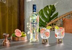 Pinnacle® Vodka Launches Pinnacle® Light &amp; Ripe™ Innovation Line With The Refreshing Flavors Of Apricot Honeysuckle And Guava Lime