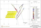 Trillium Gold Reports More High-Grade Gold Results at Newman Todd With Final 2020 Drill Results