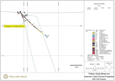 Figure 4: Section for hole NT20-180 showing significant mineralized sections. (CNW Group/Trillium Gold Mines Inc.)