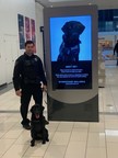 Protecting Public Spaces from Active Shooters with Canine Detection