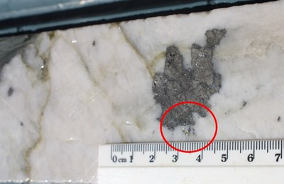 Figure 3 - HVD002 (section 95.30 – 95.60m). Visible gold (Circled) (CNW Group/E79 Resources Corp.)