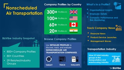 Snapshot of BizVibe's nonscheduled air transportation industry group and product categories.