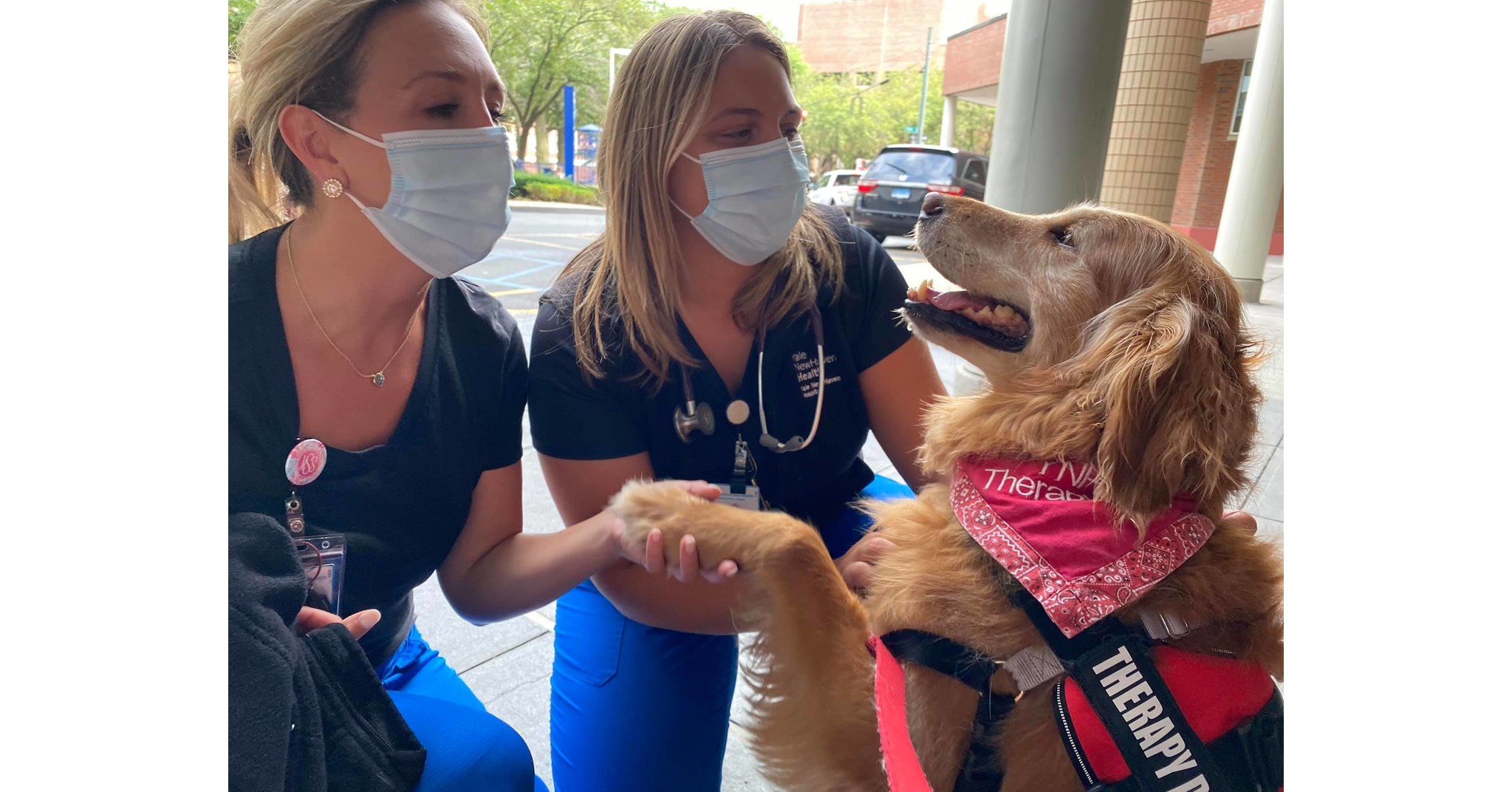 Join Pet Partners in Celebrating National Therapy Animal Day, April 30