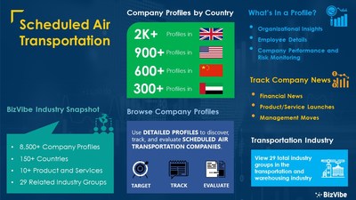 Snapshot of BizVibe's scheduled air transportation industry group and product categories.