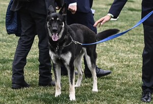 How One Product Can Solve A Major Problem