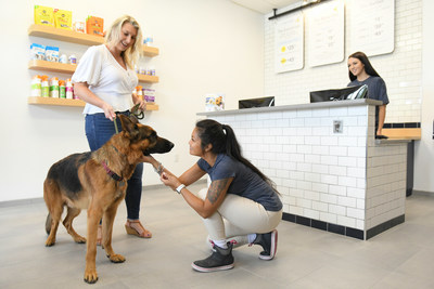 Scenthound Ignites Franchise Growth with Impressive Start in 2021