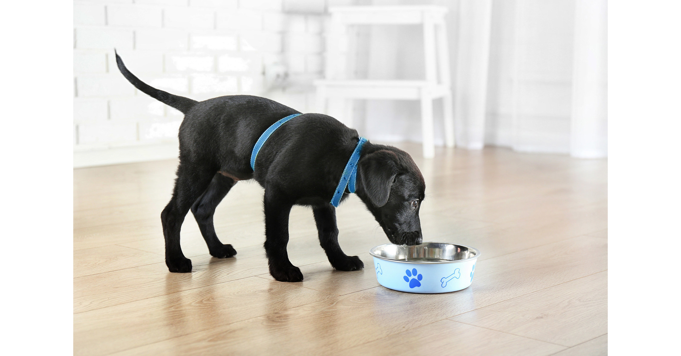 Heidrick & Struggles d&eacute;veloppe de nouvelles structures de travail en acqu&eacute;rant Business Talent Group