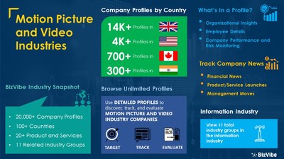 Snapshot of BizVibe's motion picture and video industry group and product categories.