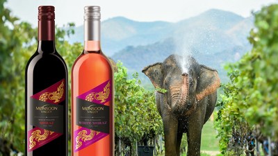 Celebrating Exceptional 2021 Harvest for Monsoon Valley Vineyard in Thailand